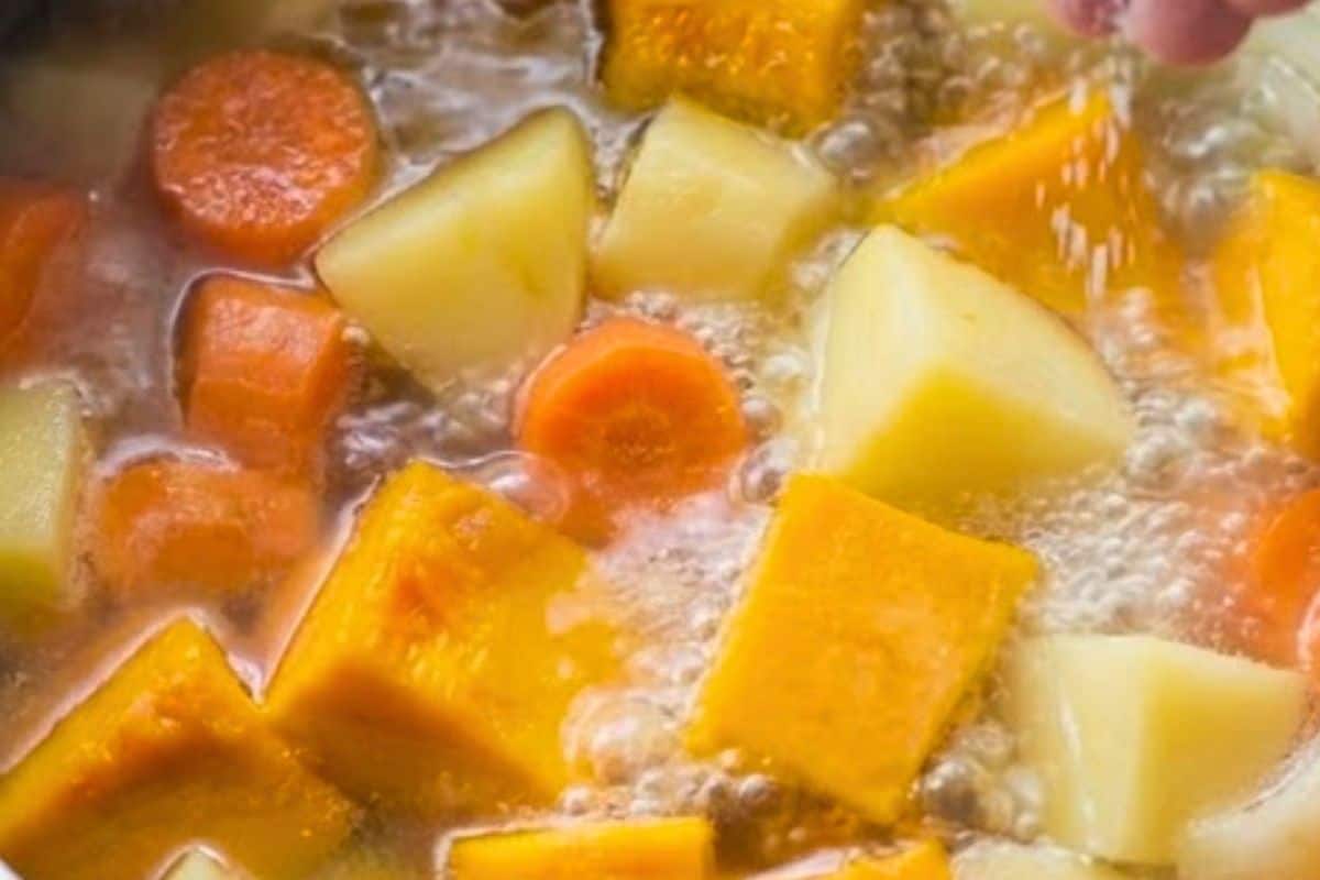 Combine the vegetables in a pot. Add just enough water to cover and season with a pinch of salt.