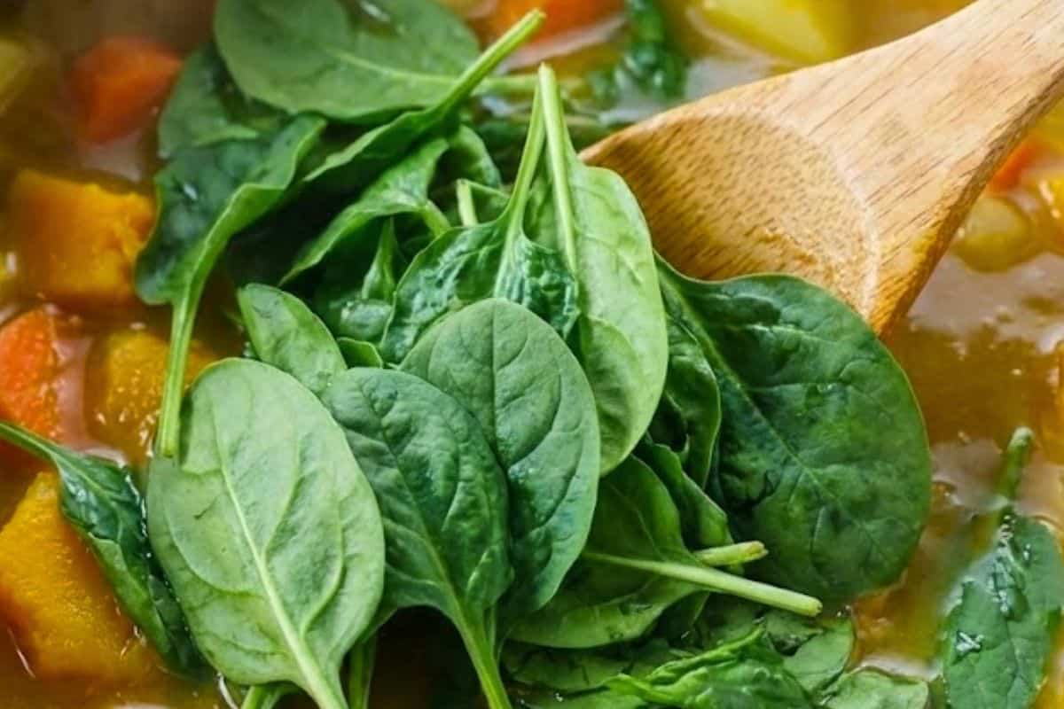 Stir in the vegetable stock powder and taste, adjusting with more salt or stock if needed. Add the spinach leaves