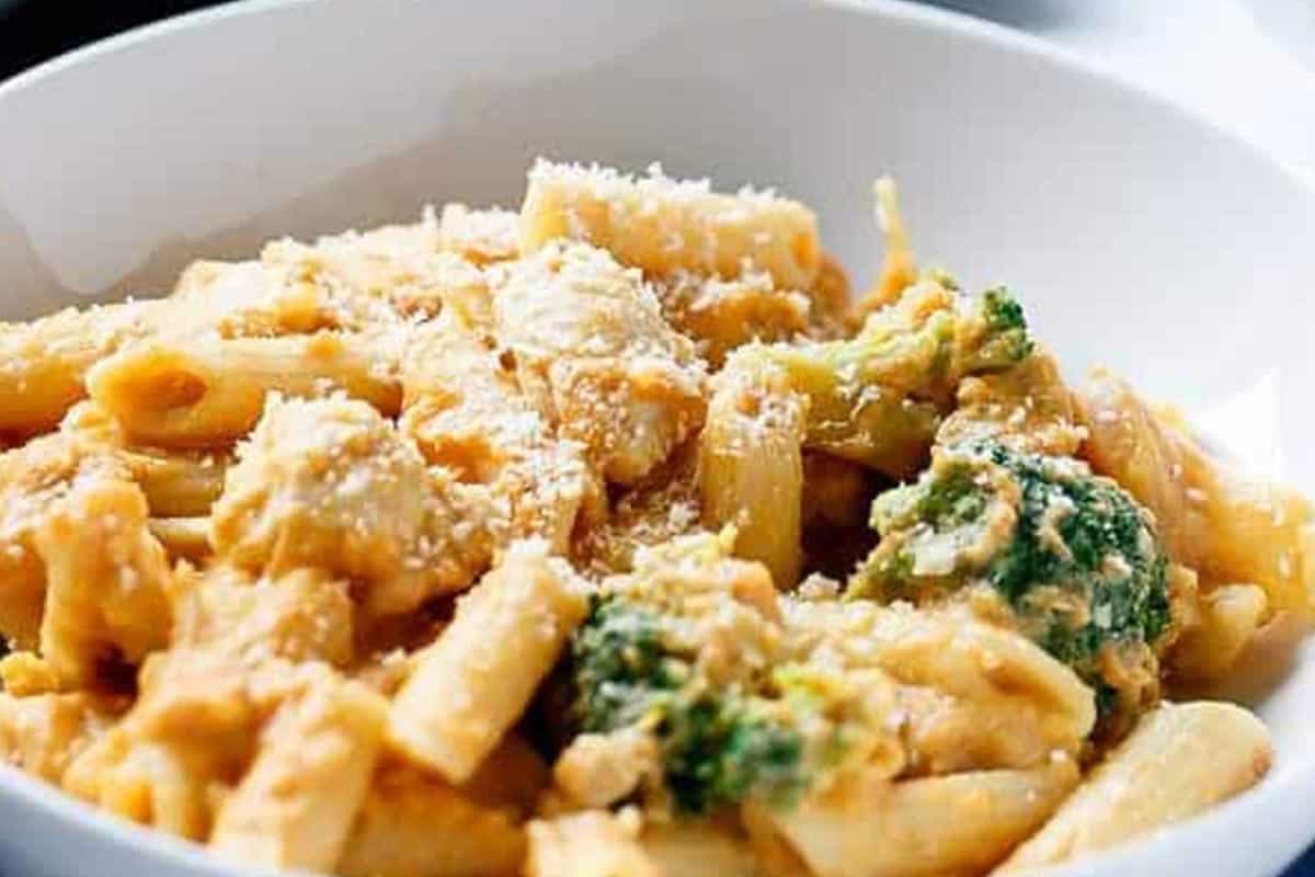 Close-up shot of Creamy Chicken Broccoli Alfredo.