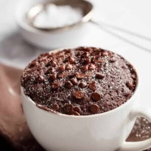 Low Fat Chocolate Mug Cake
