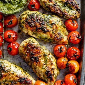 grilled chicken pieces with some roasted tomatoes on the sides on a baking tray