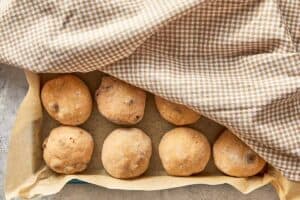 shaped dough balls rising in baking tray before baking
