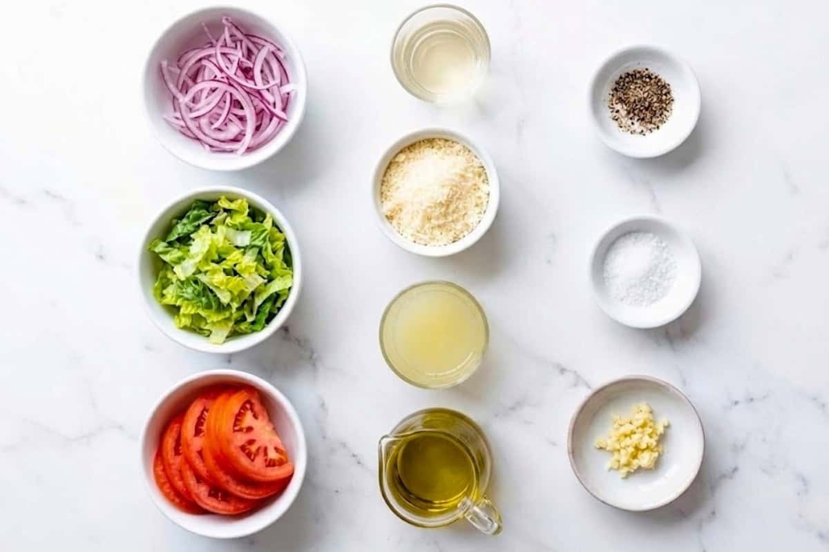 Flat lay of ingredient shot of red onions, parmesan cheese, tomatoes, romaine lettuce, olive oil, white vinegar, white vinegar, garlic, salt, pepper , lemon juice to make an easy tomato salad