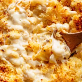 close up mac and cheese