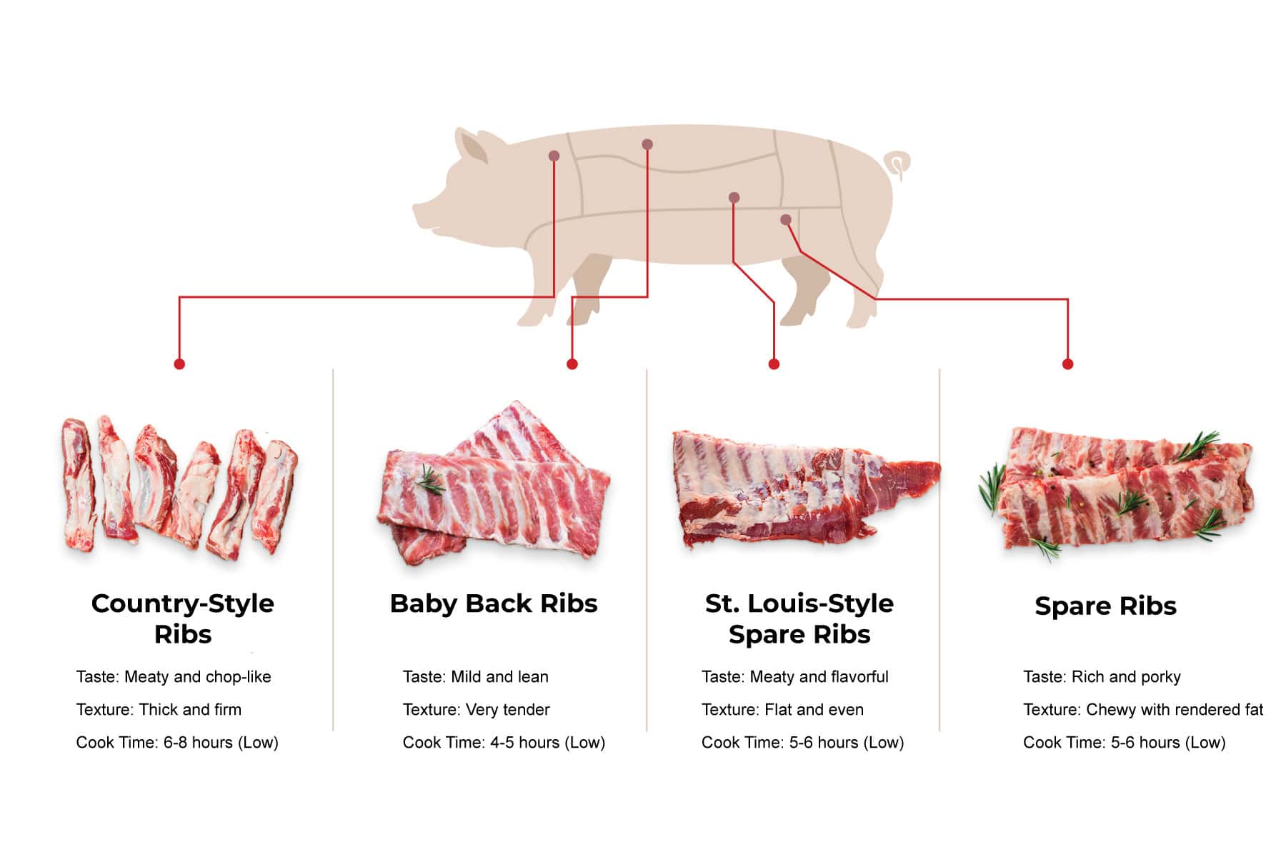 Graphic showing different types of pork ribs for a slow cooker recipe, including Country-Style Ribs, Baby Back Ribs, St. Louis-Style Spare Ribs, and Spare Ribs, with notes on taste, texture, and slow cook times.
