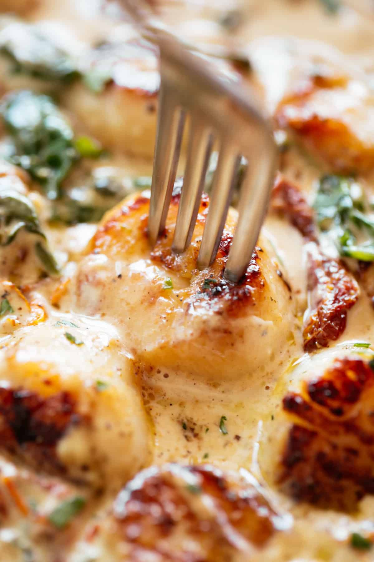 Creamy Tuscan Scallops | cafedelites.com #cafedelites Scallops with a fork