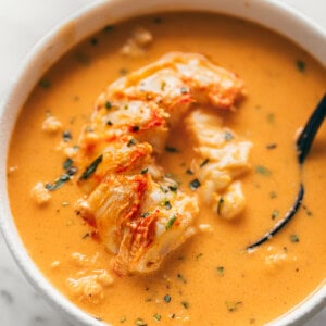 top view Lobster Bisque