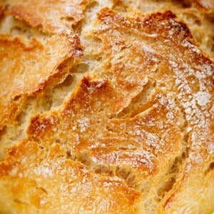 A loaf of Artisan Bread with an for baking.