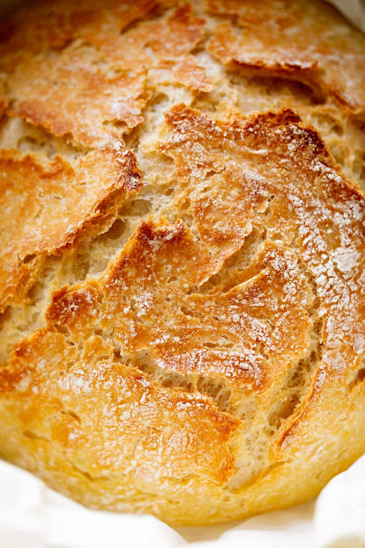 A close up image of the crunchy top of the baked artisan bread.