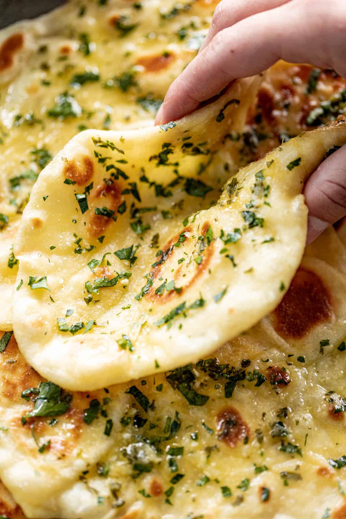 Holding a Garlic Naan Bread on a plate with a pile of naan. Garnished with fresh chopped cilantro.