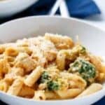close up pumpkin chicken alfredo
