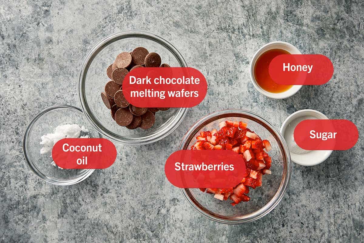 Ingredients for chocolate chips and strawberry salsa. Including Strawberries, chocolate, coconut oil, honey, and sugar.