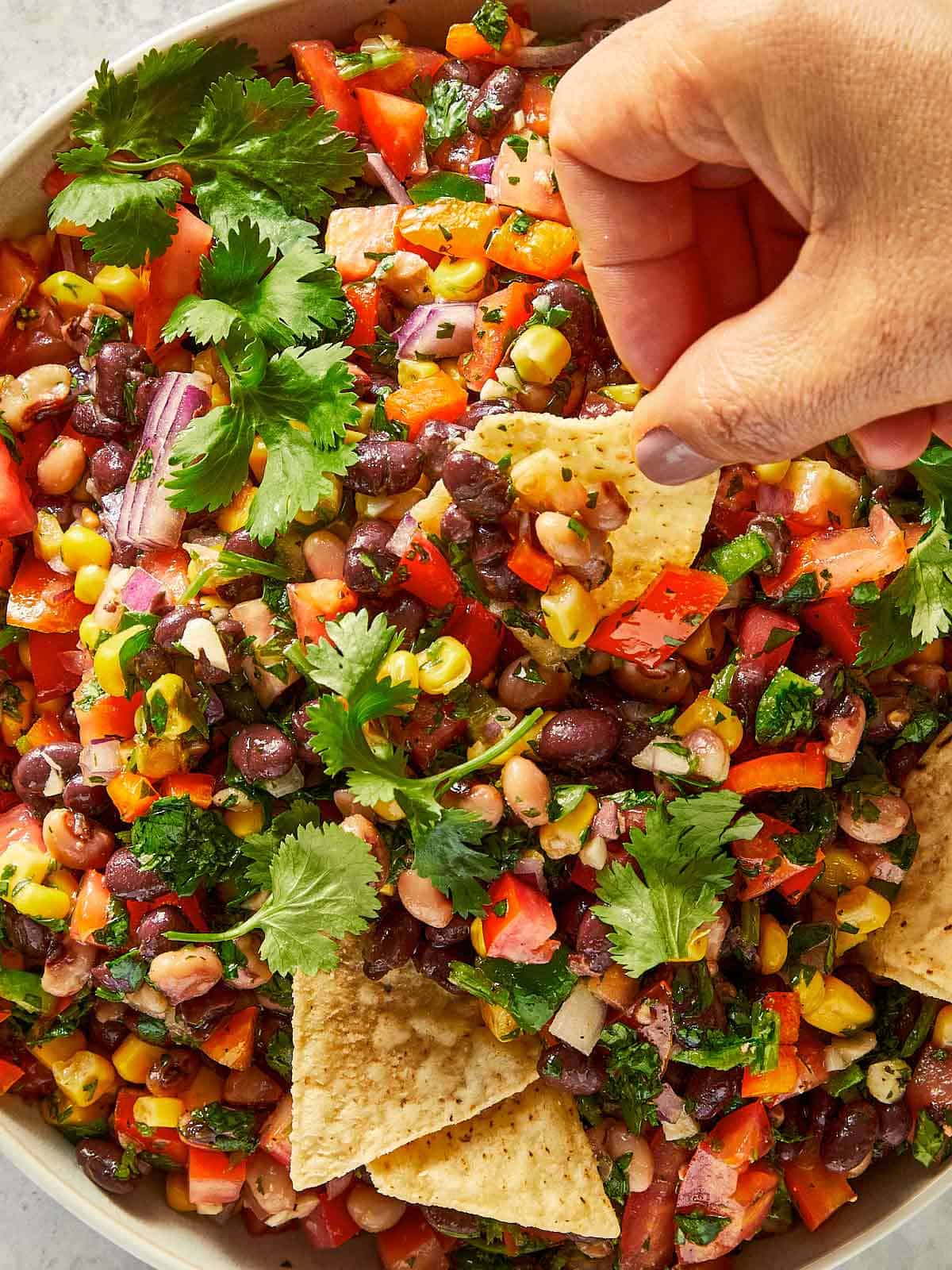 Tortilla chip scooping black eyed pea salad with black beans, corn, tomatoes, peppers and fresh coriander.