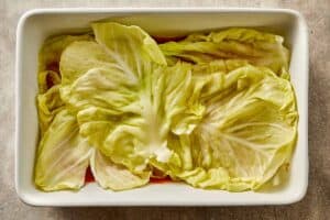 Cabbage leaves layered over tomato sauce in a baking dish.
