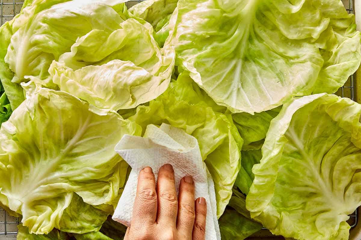 Patting softened cabbage leaves dry with paper towels before layering the lasagna.