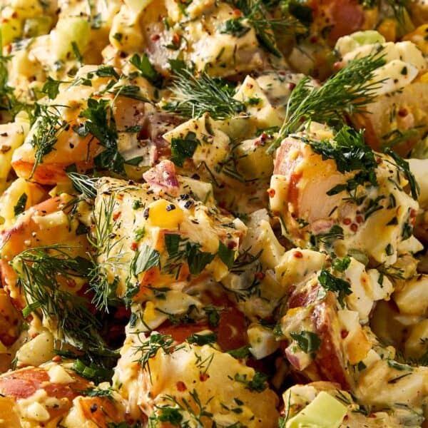Close Up of Potato Salad ready to eat