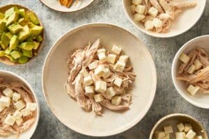 cheese and chicken in a plate for serving